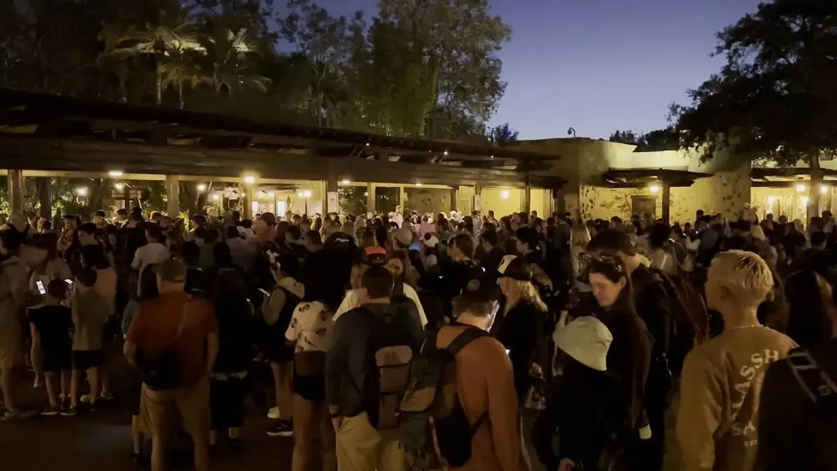 A large crowd of people gathers outside a building at dusk, with many individuals looking at their phones. The scene is illuminated by warm lights from the building, and surrounding trees are silhouetted against the evening sky.