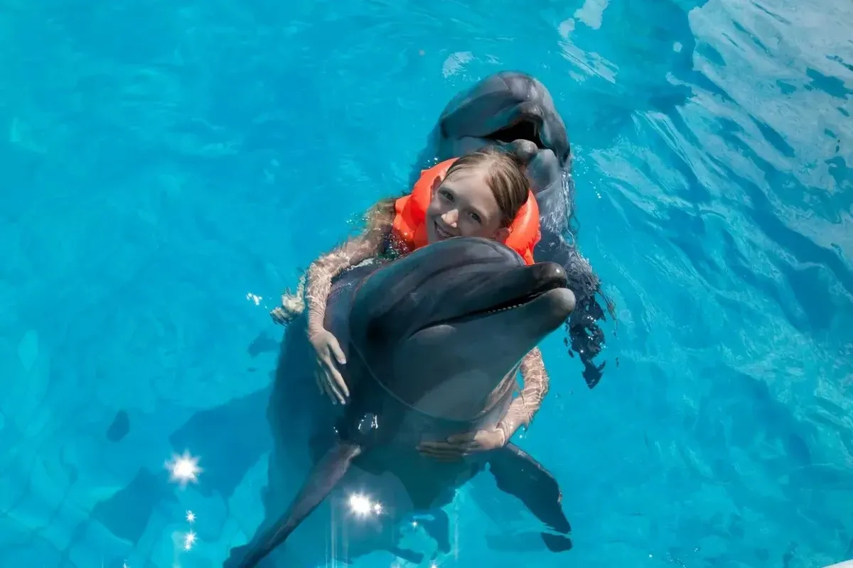 Girl hugging a dolphin in a pool