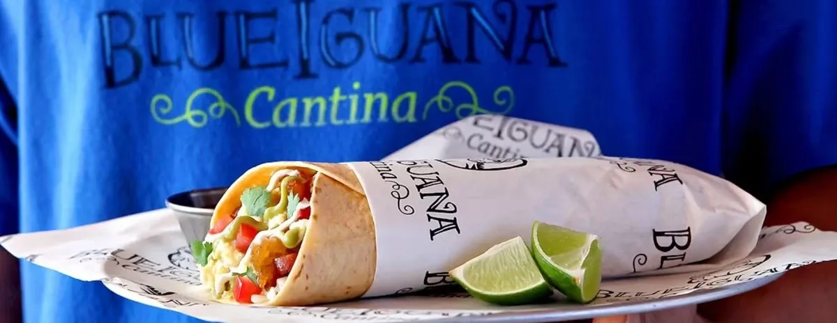 A plate with a burrito and two slice of lime