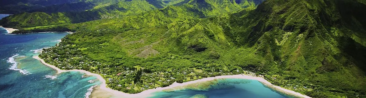 Aerial view of Hawaii coastline