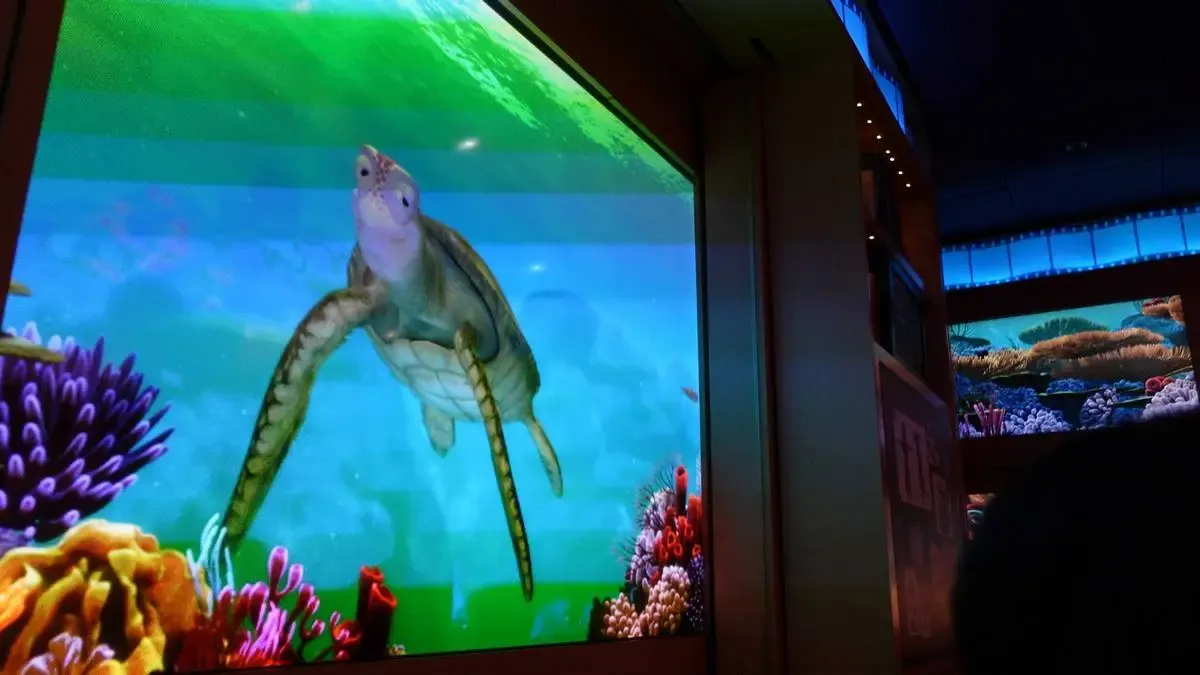 A digital display shows Crush from Finding Nemo swimming gracefully underwater, surrounded by colorful coral and vibrant marine life, in a dimly lit indoor setting.