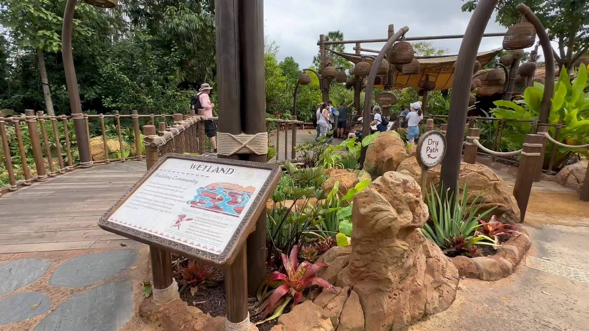 A scenic outdoor area with a wooden walkway and a sign labeled "Wetland" describing the plants in front of it. There's a small group of people gathered near a shaded area in the background. A "Dry Path" sign is visible among the plants.