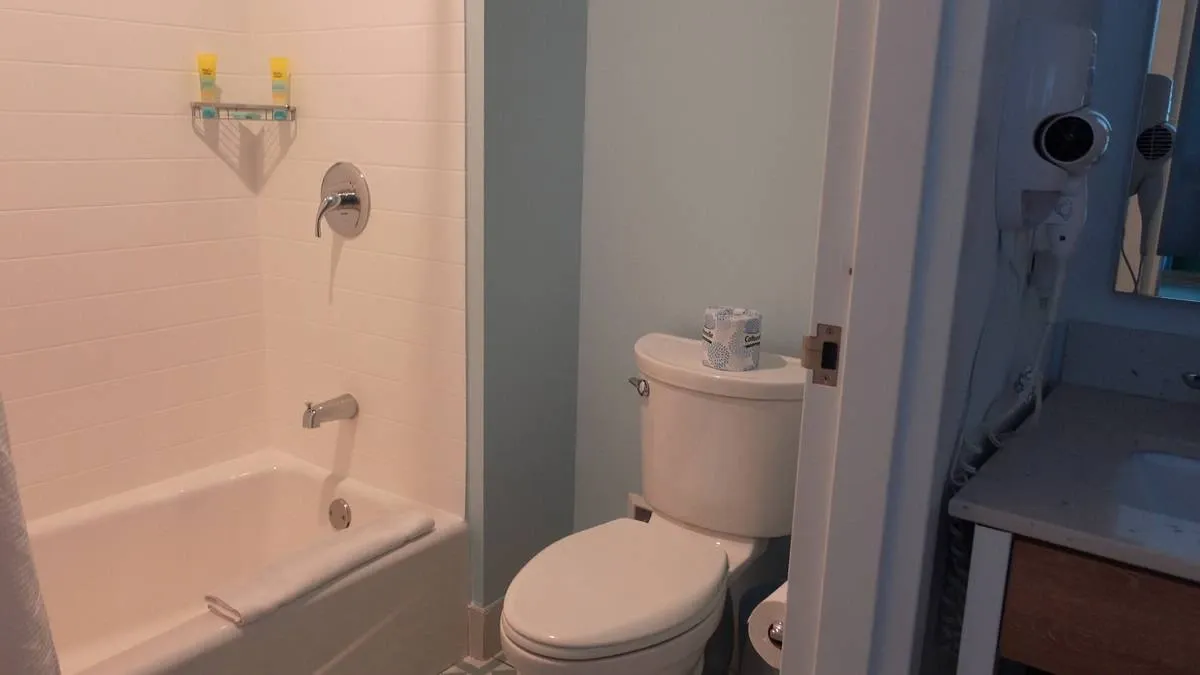 A bathroom with a white bathtub and a wall-mounted showerhead. A toilet with a roll of toilet paper on top is adjacent, and a countertop with a hairdryer is visible to the right. The walls are painted a soft blue.