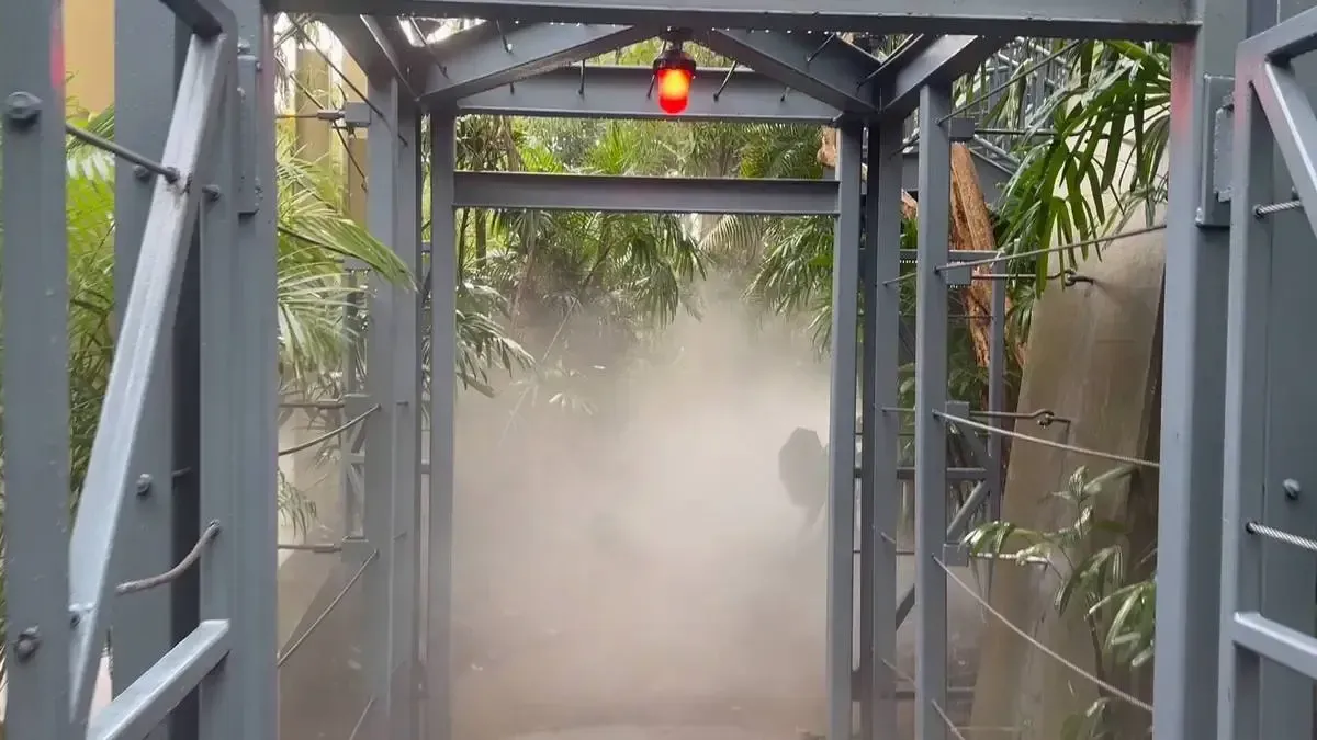 A misty walkway framed by sturdy gray metal structures, with tropical greenery on either side and a red light glowing above.