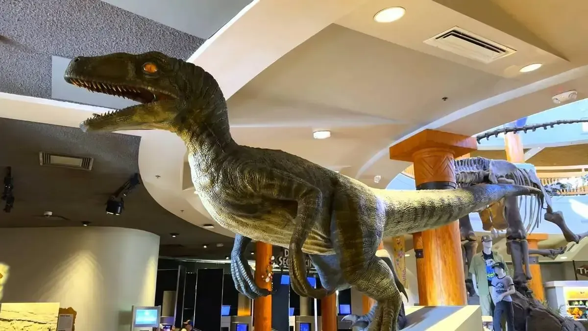 A life-sized velociraptor model with a textured, scaly surface and an open mouth is displayed indoors, surrounded by modern lighting and wooden beams.