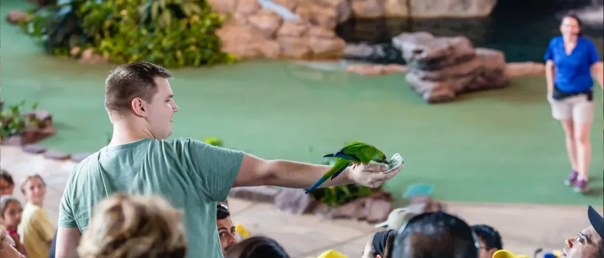 A man in a green shirt holds a green parrot on his outstretched arm during a lively animal show, while people seated around him watch with interest.
