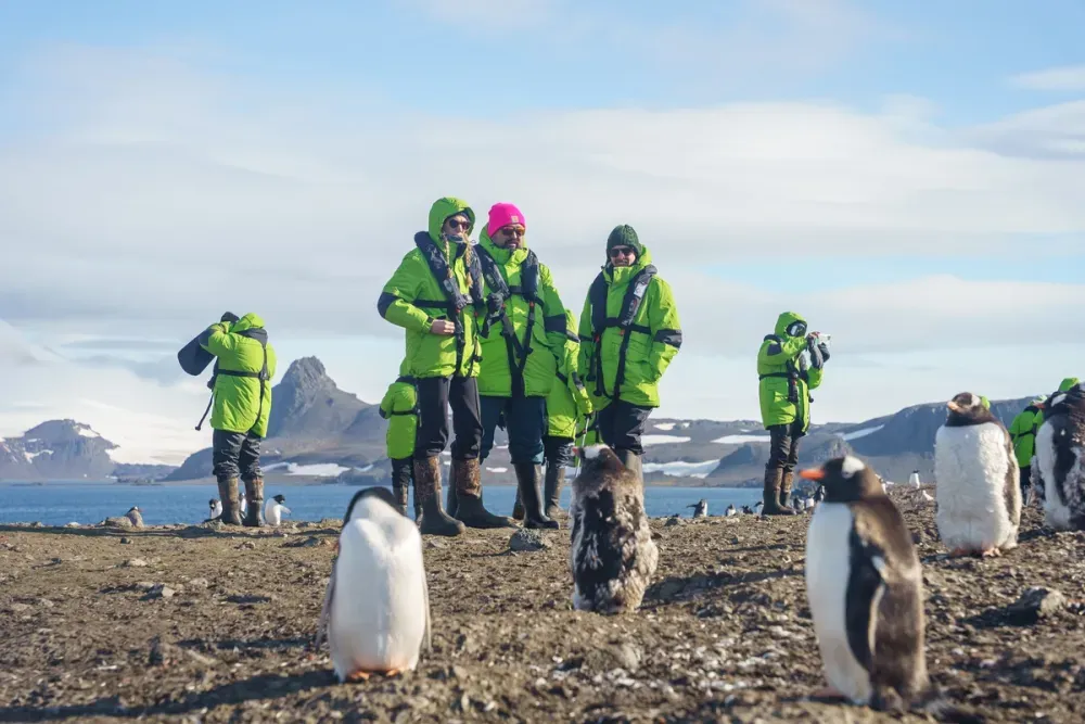 People standing next to penguins in Antartica