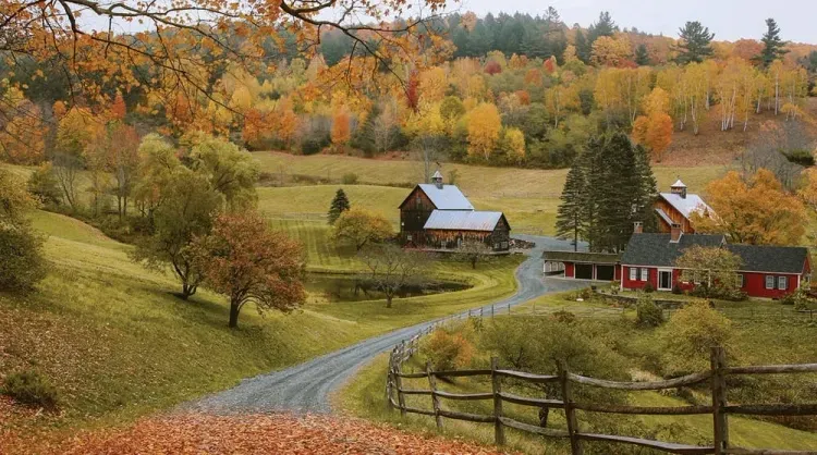 Countryside scenery at fall